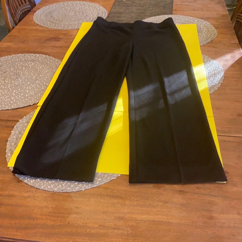 Pants Great Condition Size 10